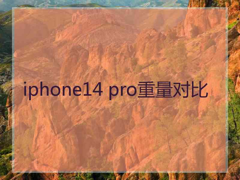 iphone14 pro重量对比