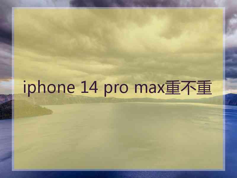 iphone 14 pro max重不重