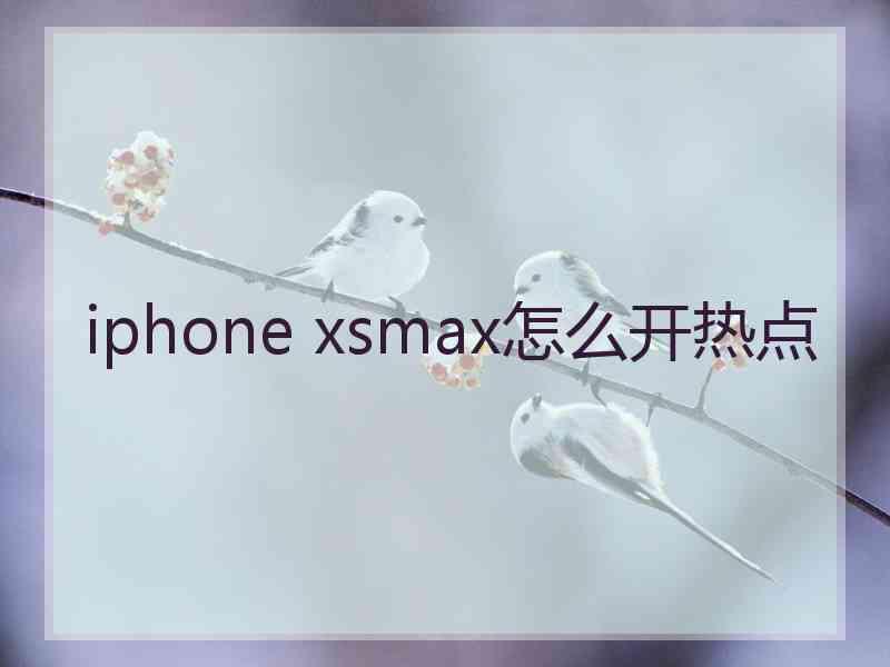 iphone xsmax怎么开热点