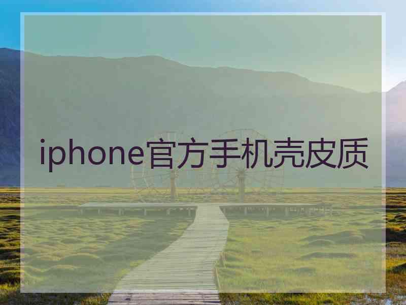 iphone官方手机壳皮质