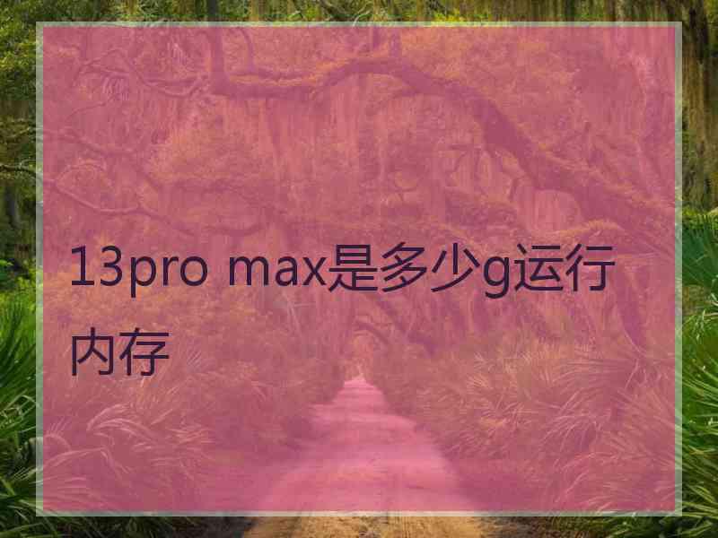 13pro max是多少g运行内存