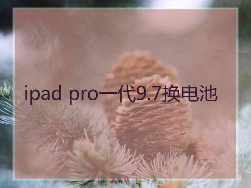 ipad pro一代9.7换电池