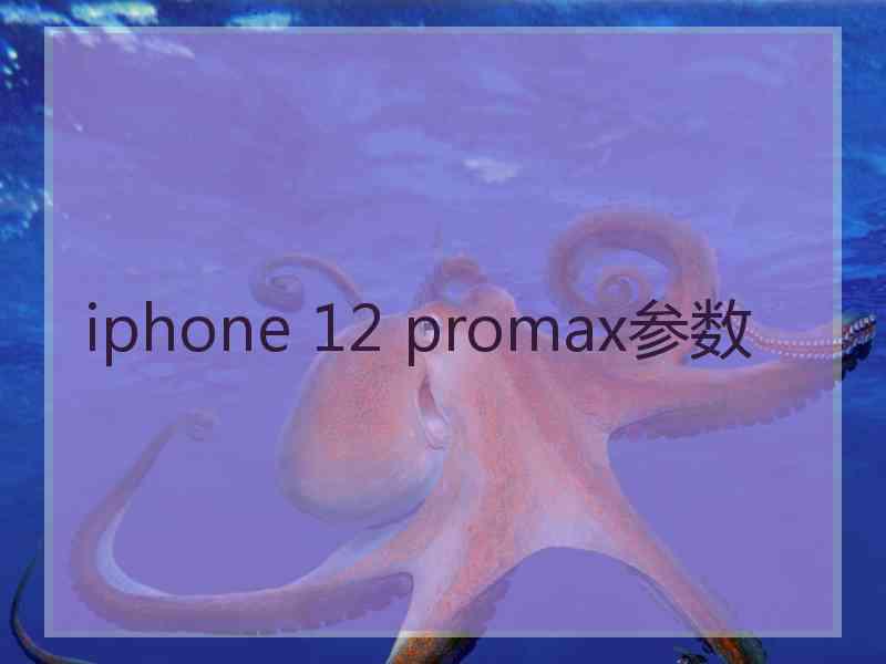 iphone 12 promax参数