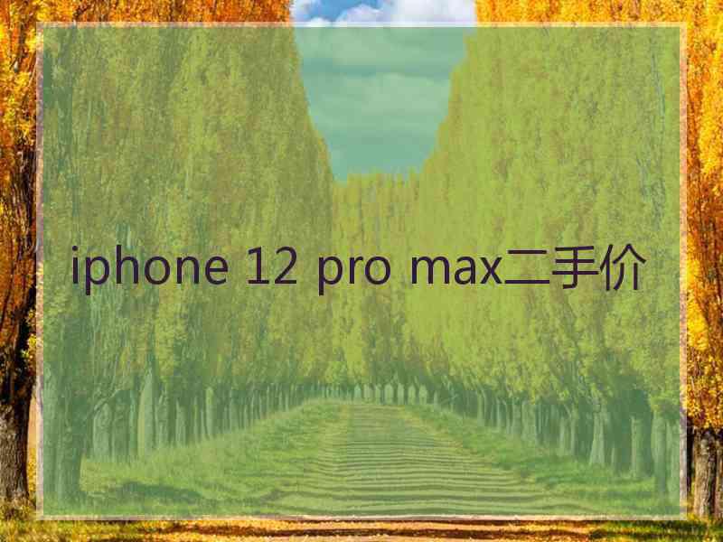 iphone 12 pro max二手价