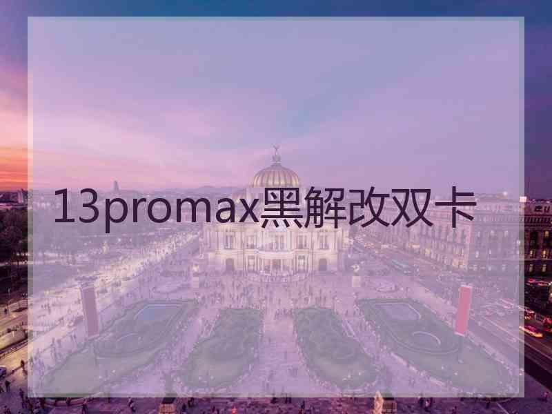 13promax黑解改双卡