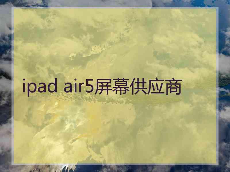 ipad air5屏幕供应商