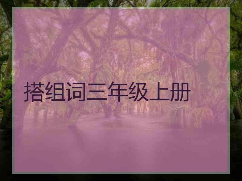 搭组词三年级上册