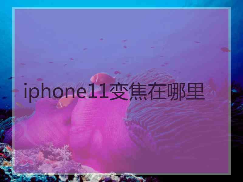 iphone11变焦在哪里