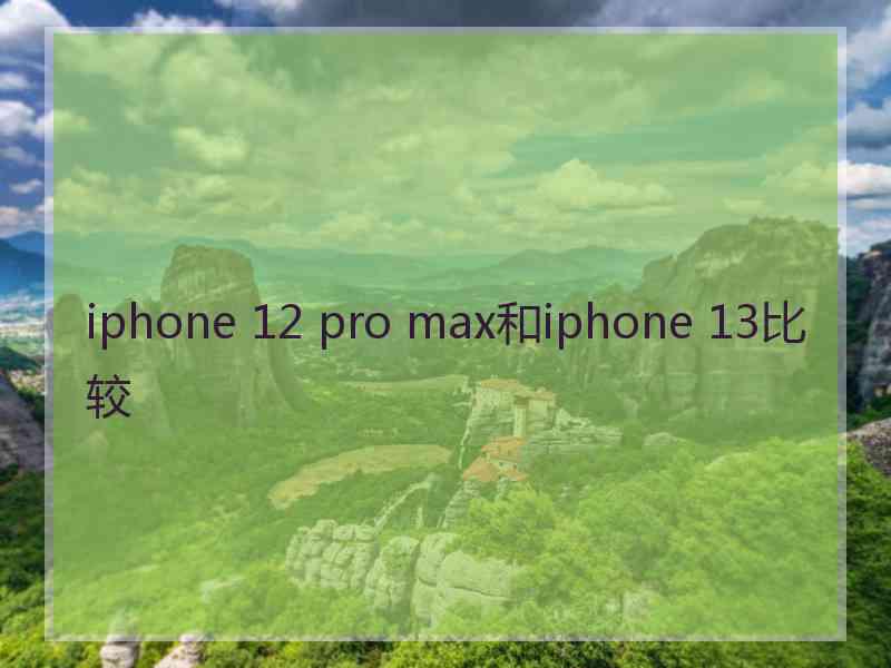 iphone 12 pro max和iphone 13比较