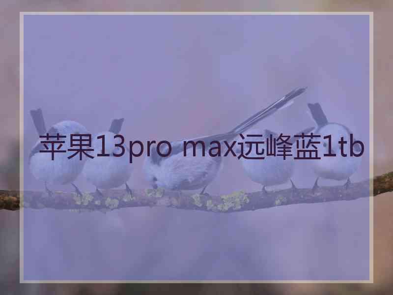 苹果13pro max远峰蓝1tb