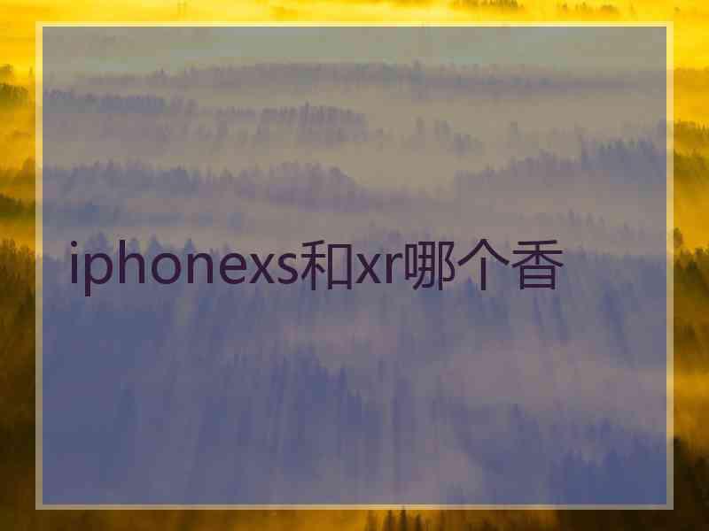 iphonexs和xr哪个香