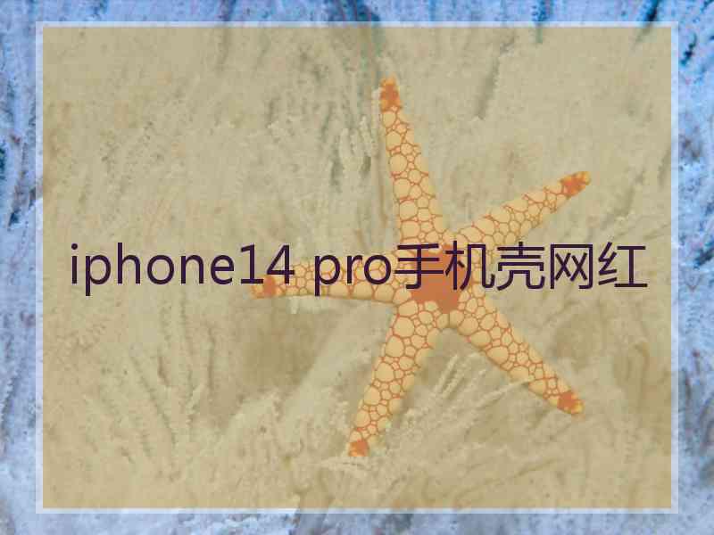 iphone14 pro手机壳网红