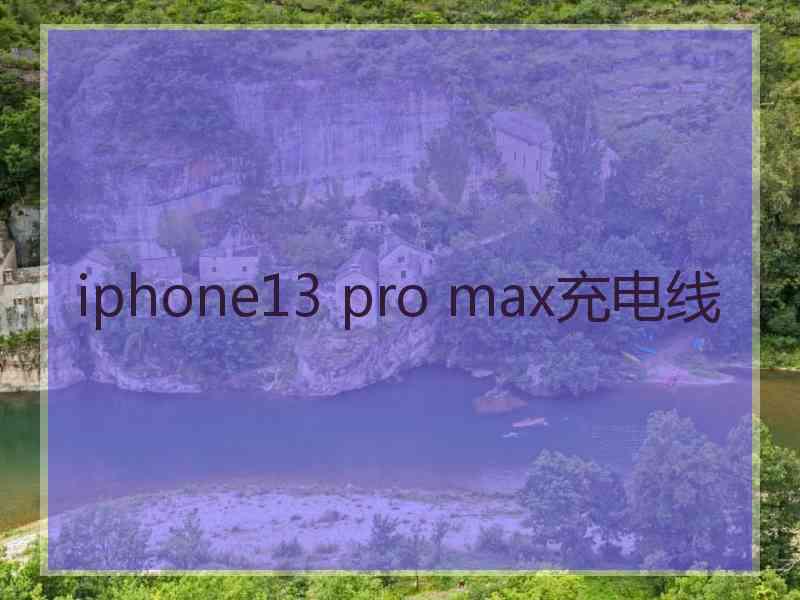 iphone13 pro max充电线