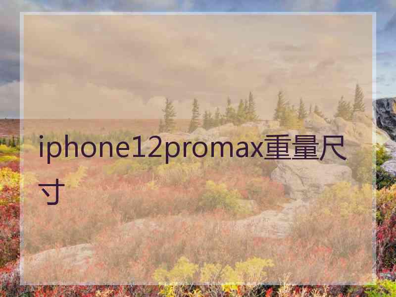 iphone12promax重量尺寸