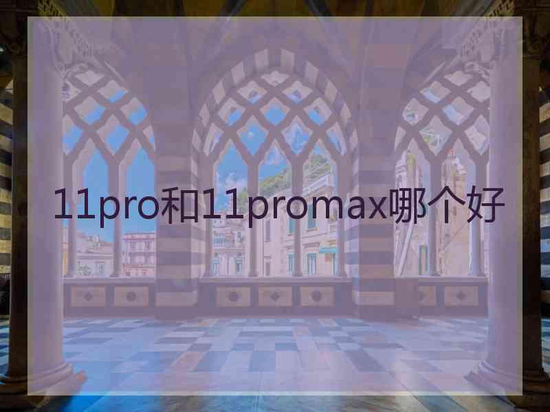 11pro和11promax哪个好