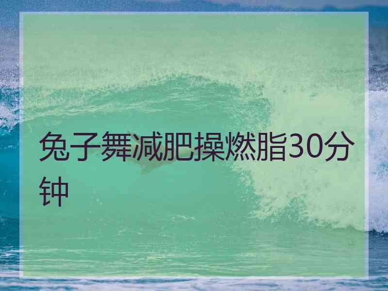 兔子舞减肥操燃脂30分钟