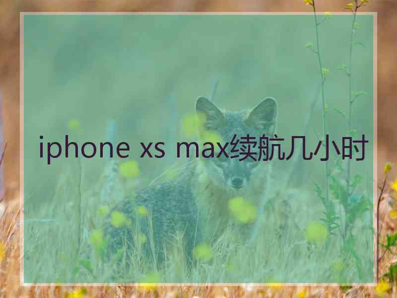 iphone xs max续航几小时