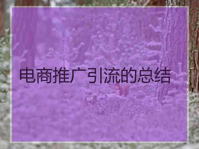 电商推广引流的总结