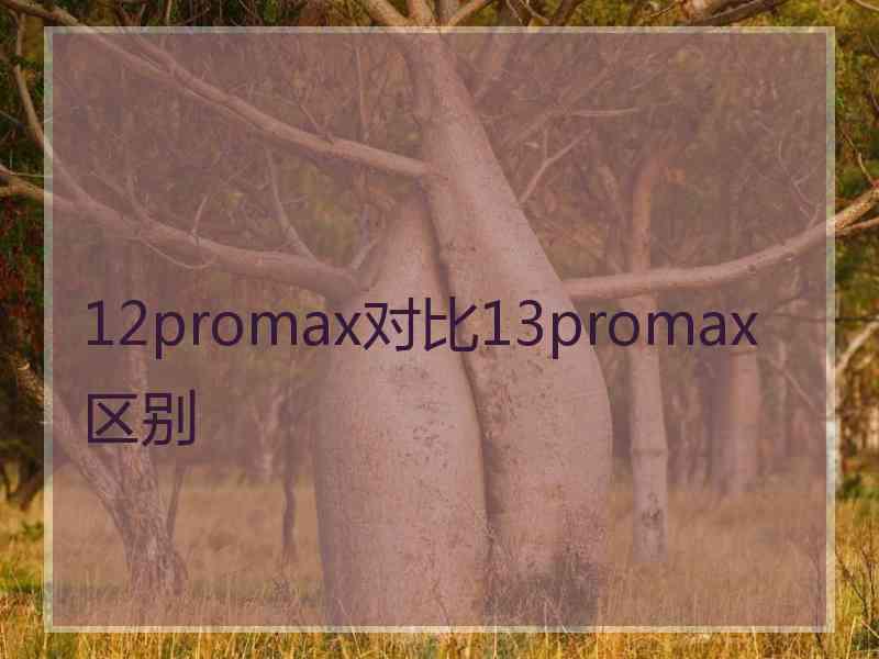 12promax对比13promax区别