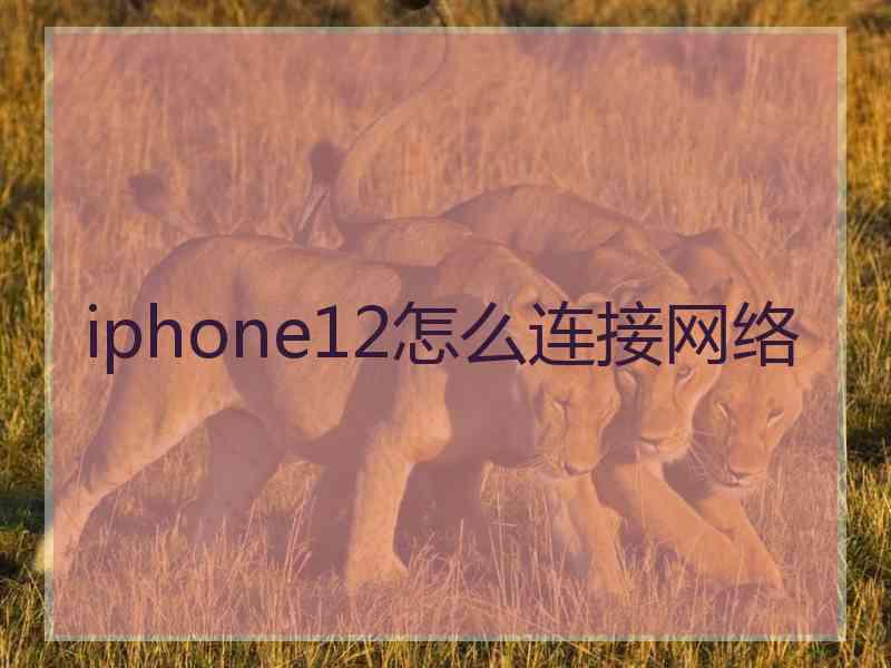 iphone12怎么连接网络