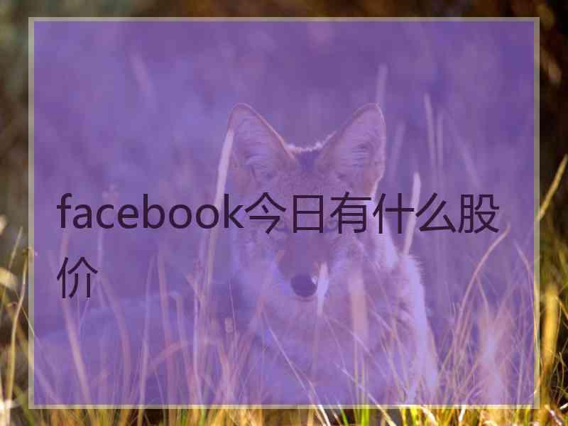 facebook今日有什么股价