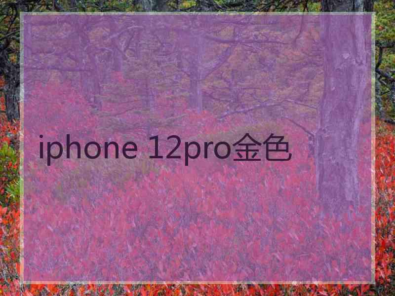 iphone 12pro金色