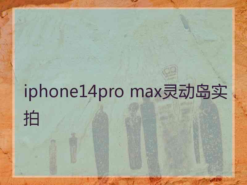 iphone14pro max灵动岛实拍