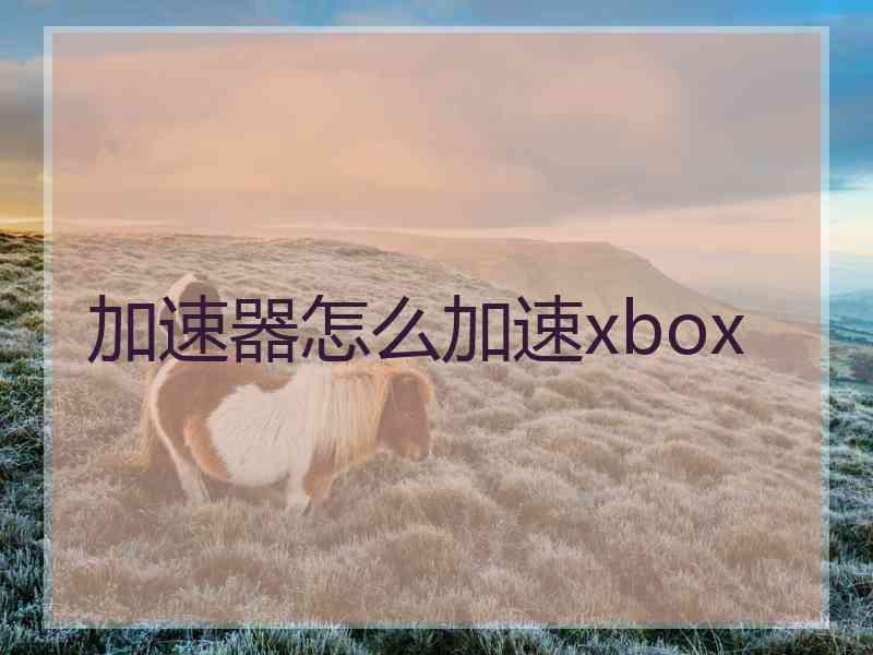 加速器怎么加速xbox