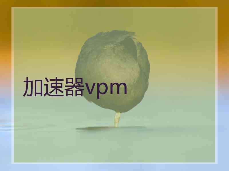 加速器vpm