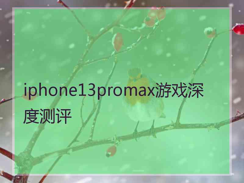 iphone13promax游戏深度测评