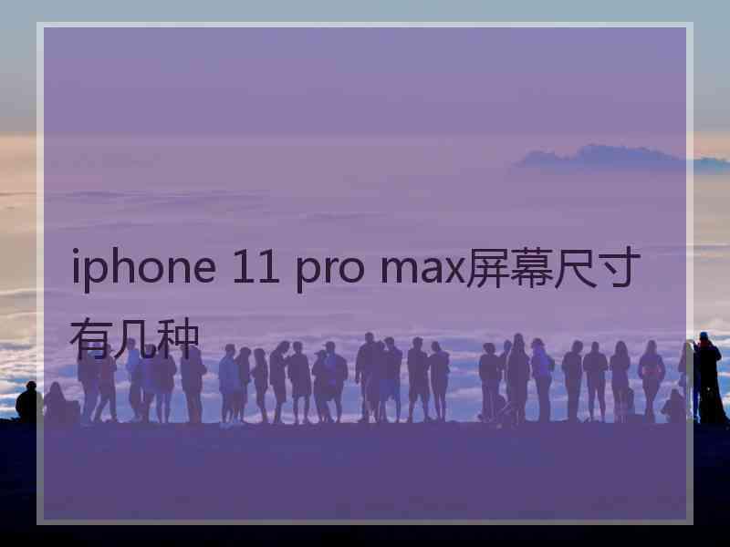 iphone 11 pro max屏幕尺寸有几种