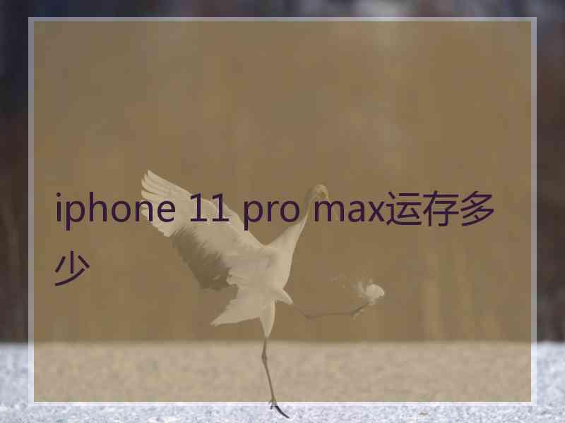 iphone 11 pro max运存多少