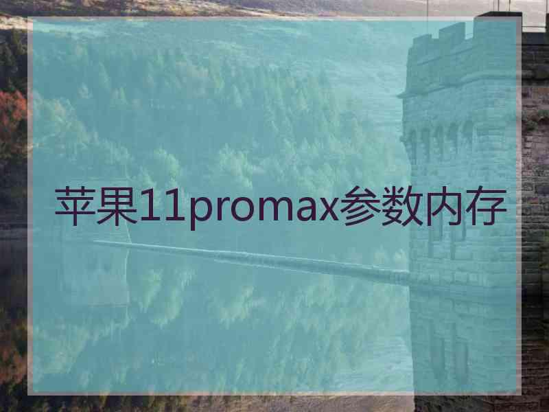 苹果11promax参数内存