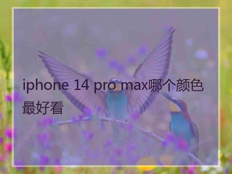 iphone 14 pro max哪个颜色最好看