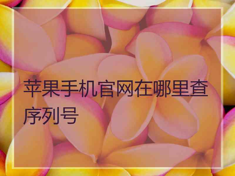 苹果手机官网在哪里查序列号