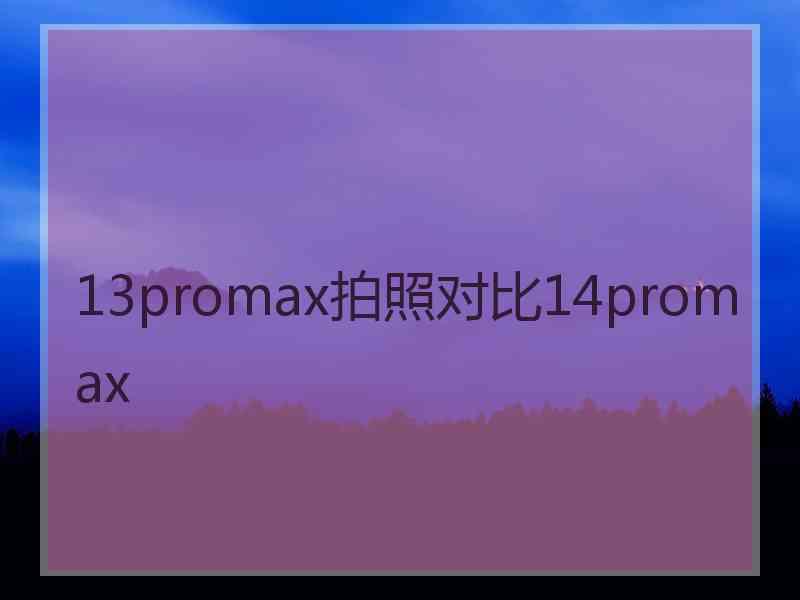 13promax拍照对比14promax