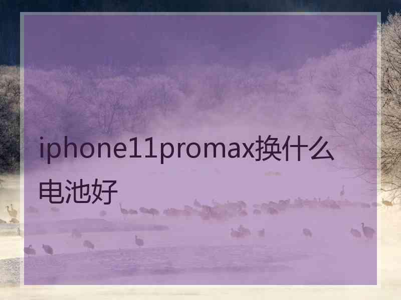 iphone11promax换什么电池好