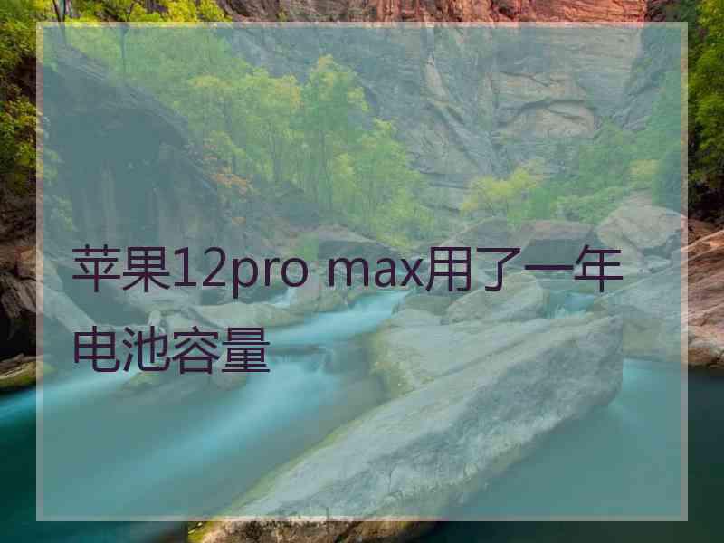 苹果12pro max用了一年电池容量