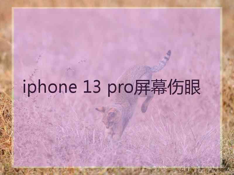 iphone 13 pro屏幕伤眼