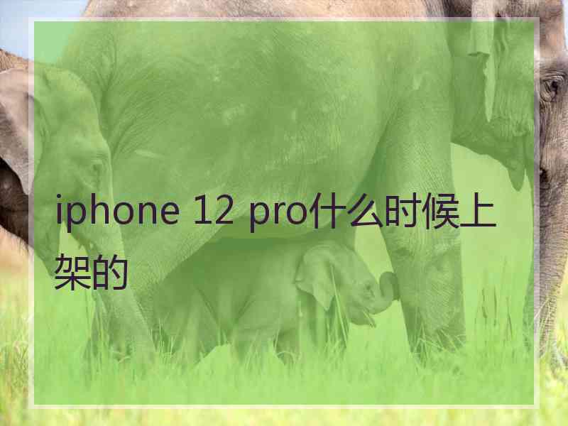 iphone 12 pro什么时候上架的