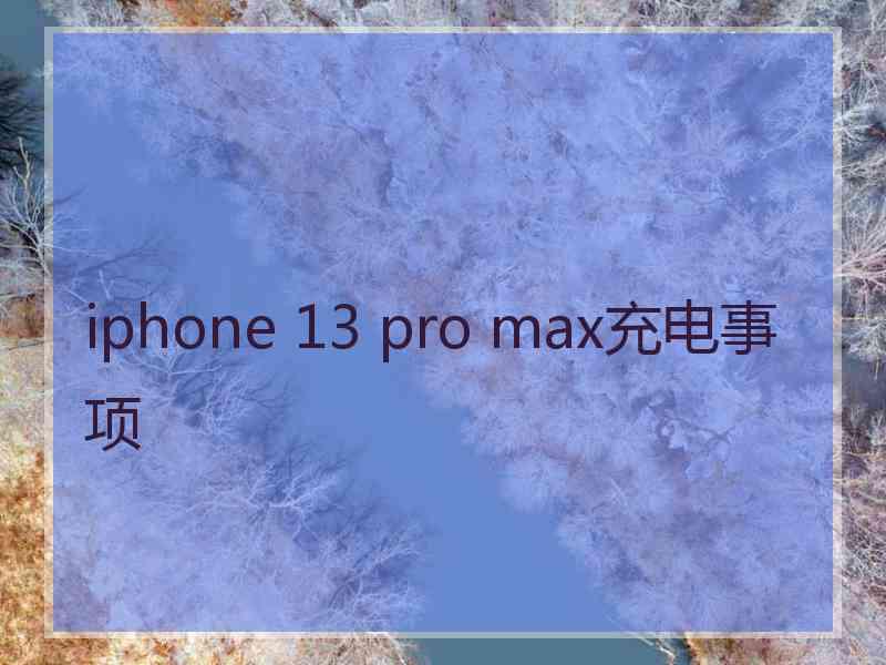 iphone 13 pro max充电事项