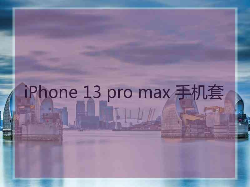 iPhone 13 pro max 手机套