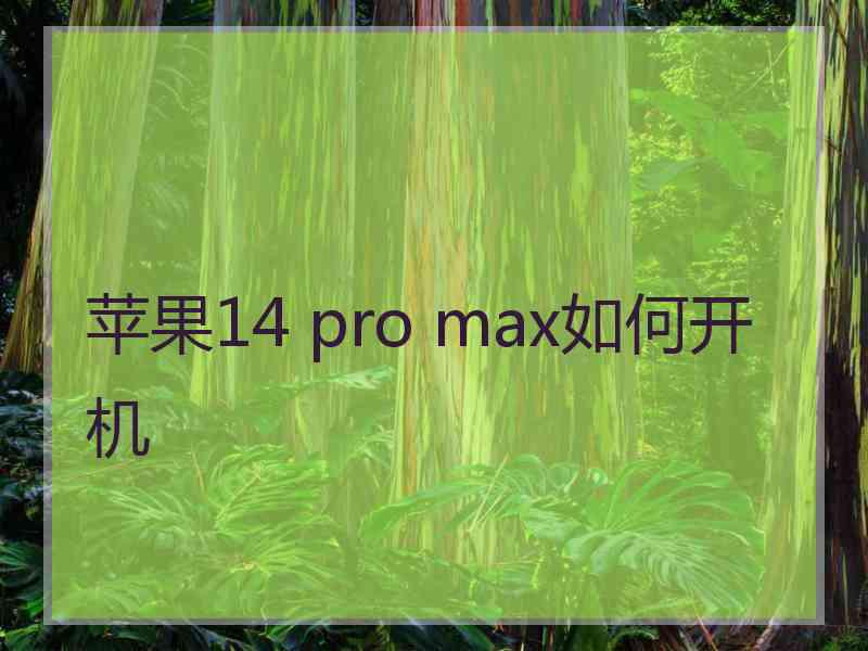 苹果14 pro max如何开机