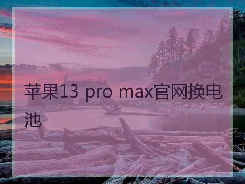 苹果13 pro max官网换电池