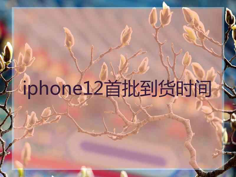 iphone12首批到货时间