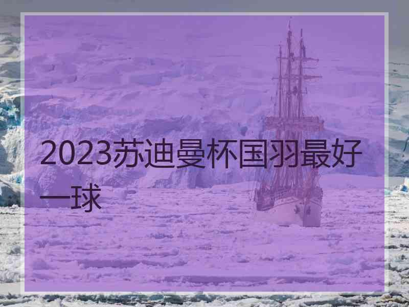 2023苏迪曼杯国羽最好一球