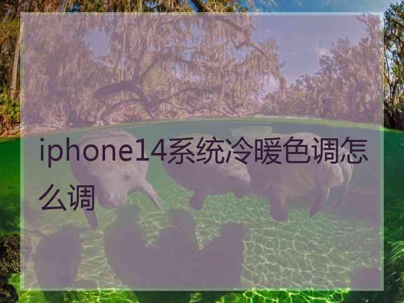 iphone14系统冷暖色调怎么调