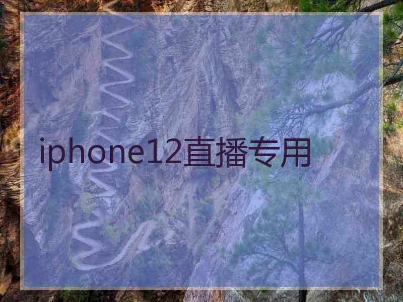 iphone12直播专用