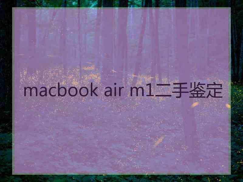 macbook air m1二手鉴定