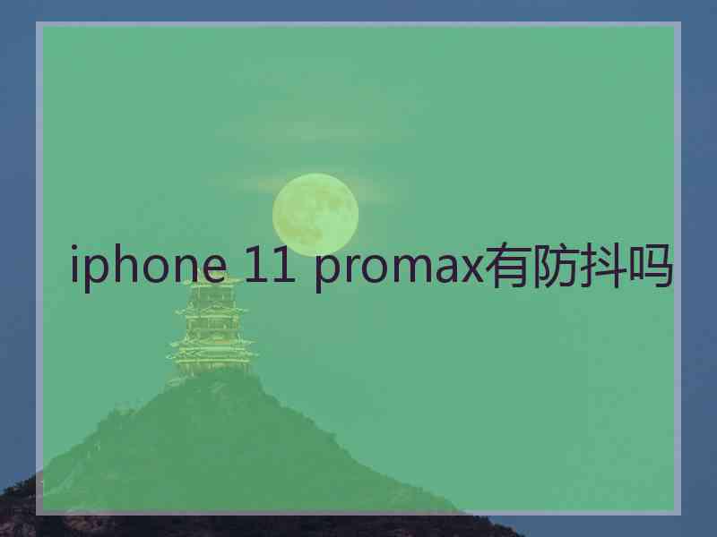 iphone 11 promax有防抖吗